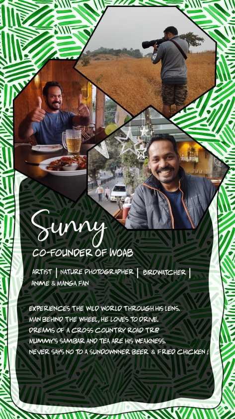 When on a Break - Sunny intro